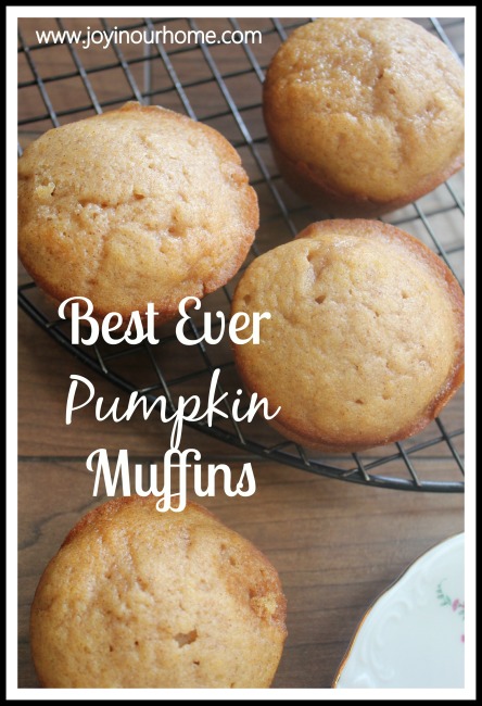 Best Ever Pumpkin Muffins at www.joyinourhome.com