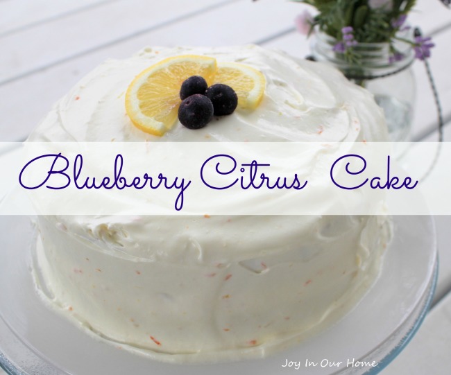 Blueberry Citrus Cake from www.joyinourhome.com