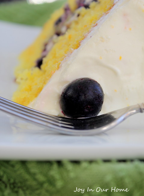 Blueberry Citrus Cake from www.joyinourhome.com