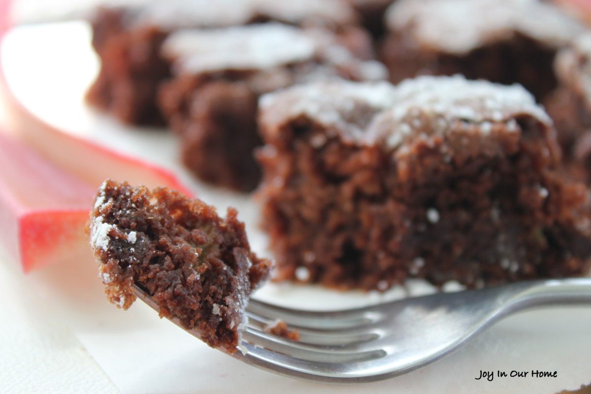 Chocolate Rhubarb Brownies from www.joyinourhomecom