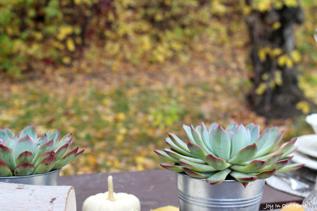 outdoor tablescape