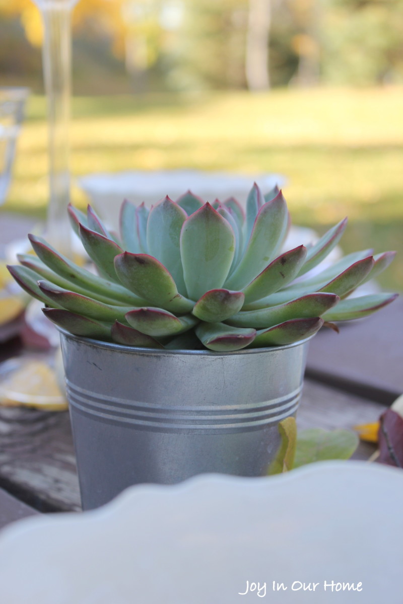 outdoor tablescape