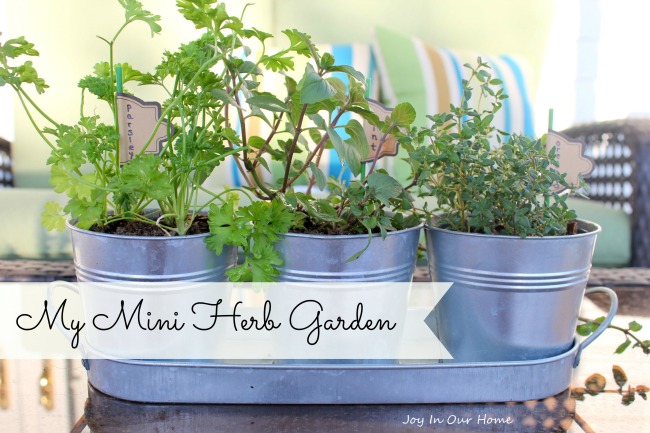 Mini Herb Garden at www.joyinourhome.com