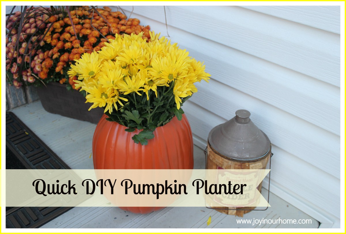 pumpkin planter