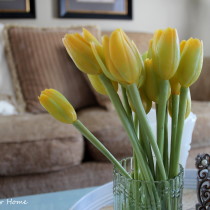 Dollar Store & Thrift Store Vignette at www.joyinourhome.com